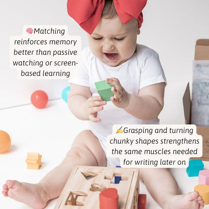 Shape Sorter - Shape Sorting Toy