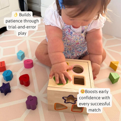 Shape Sorter - Learning Game