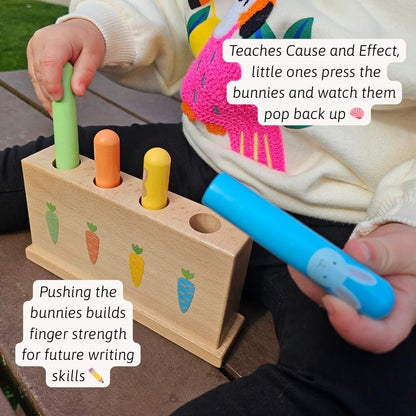 Bouncing Bunnies - Pop Up Toy