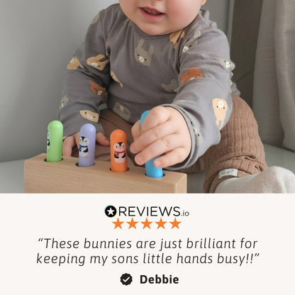 Bouncing Bunnies - Pop Up Toy