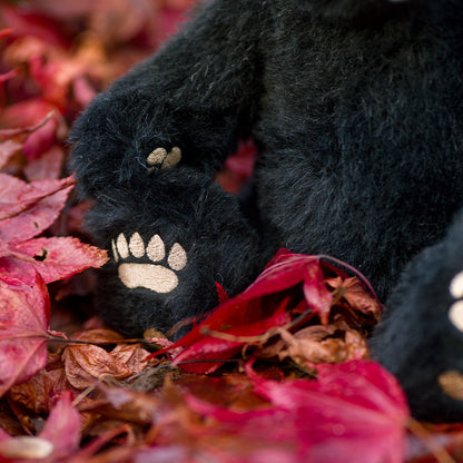 Winnipeg